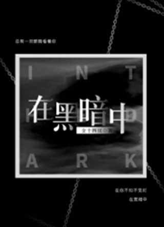 在黑暗中小说