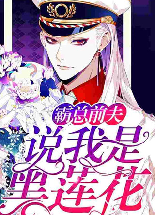 霸总前夫说我是黑莲花小说