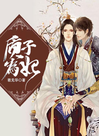 质子为妃小说
