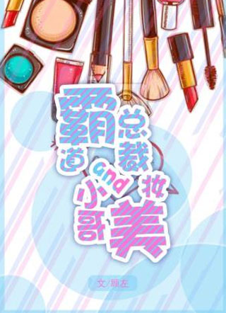 霸道总裁与美妆小哥小说