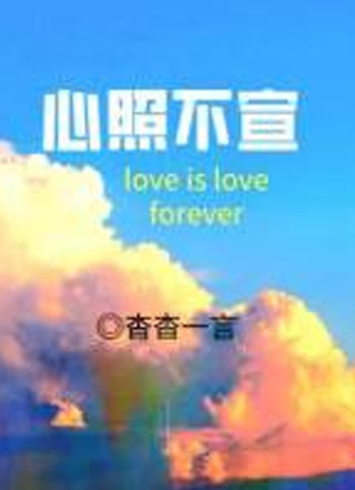 心照不宣小说