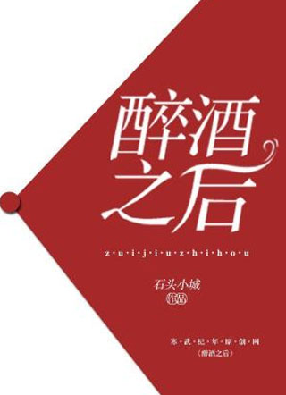醉酒之后小说