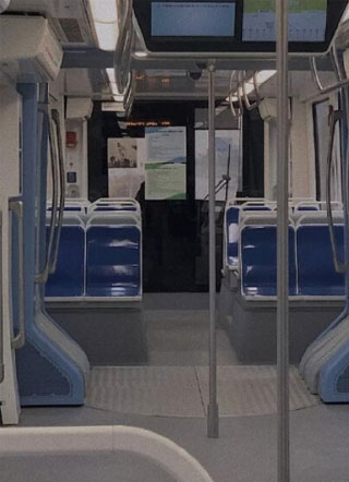 我捡了只恶魔公爵小说小说