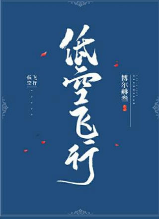低空飞行小说