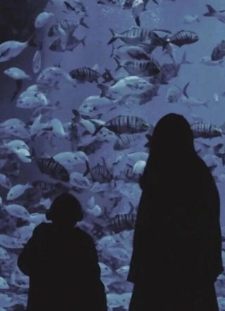 别和叔叔抢糖by小说