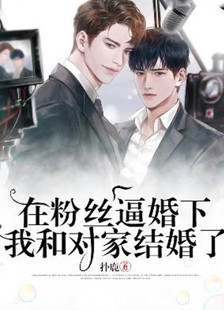在粉丝逼婚下我和对家结婚了小说