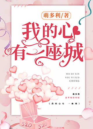 我的心有一座城小说