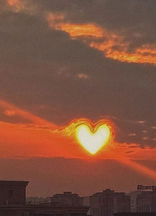 顾洛楚离小说小说