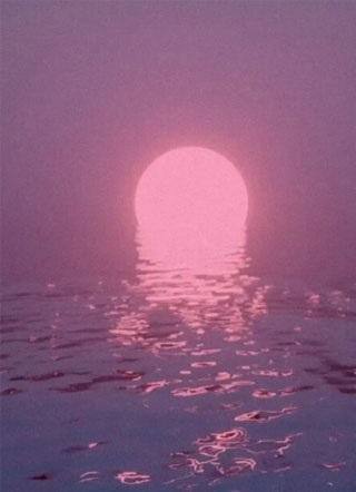 大佬总想摸我尾巴小说小说