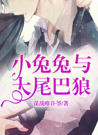 小兔兔与大尾巴狼小说