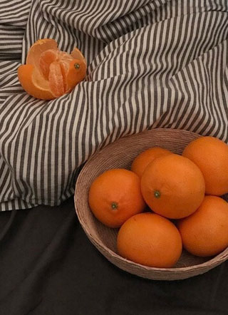 当红偶像是狼人小说