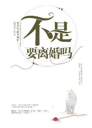 不是要离婚吗小说