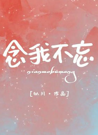 念我不忘小说