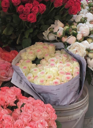 心之囚笼小说小说