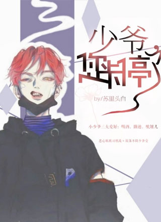 少爷，您卡停了小说