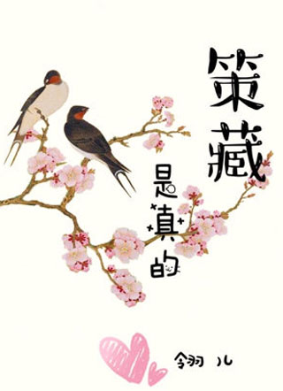 策藏是真的小说