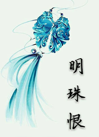 明珠恨小说