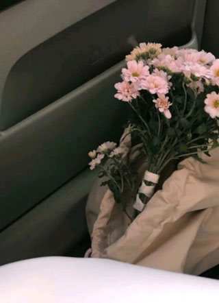 白安江煜城小说小说
