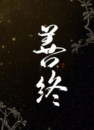 善终小说小说