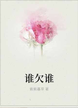 谁欠谁小说