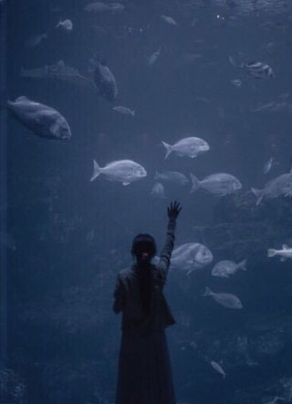 重生后傻白甜炮灰又翻车了小说小说