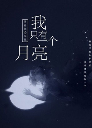 我只有一个月亮小说