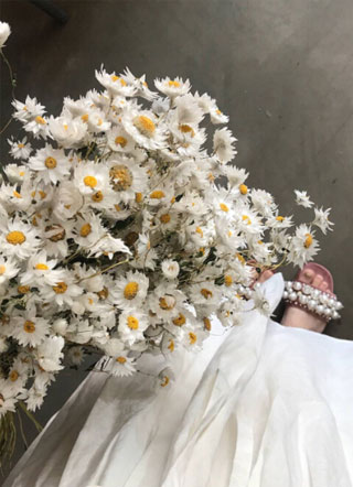 我教你呀小说
