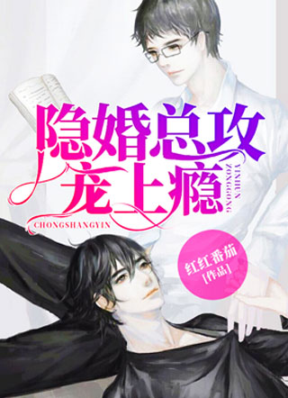 隐婚总攻宠上瘾小说
