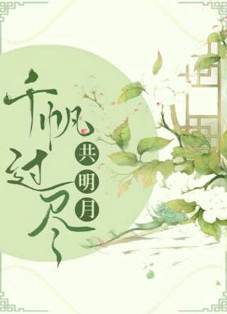 千帆过尽共明月小说