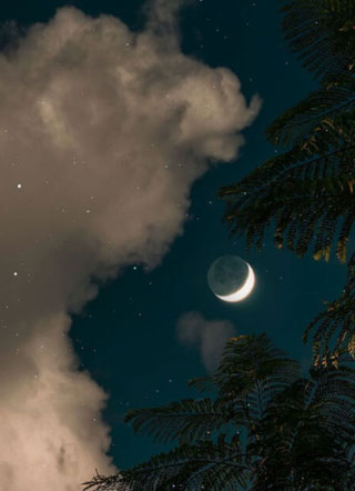 心之囚笼羽舒小说