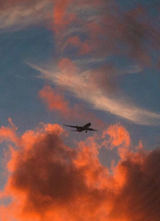 霸道总裁在线女装小说