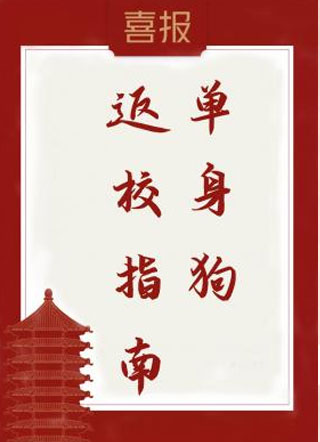 单身狗返校指南小说