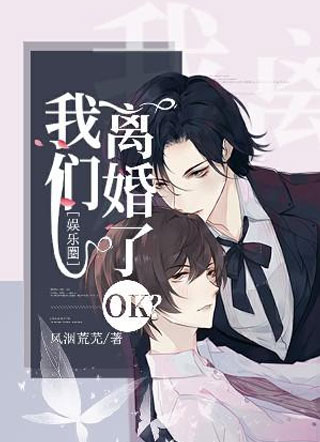 我们离婚了ok？娱乐圈小说