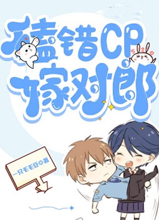 嗑错cp嫁对郎小说