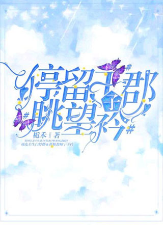 停留于郡眺望子衿小说小说