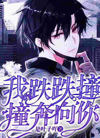 我跌跌撞撞奔向你小说