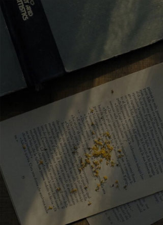 金主有病小说小说