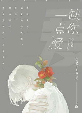 缺你一点爱小说