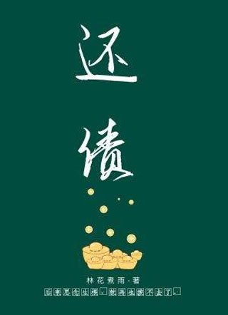 还债小说