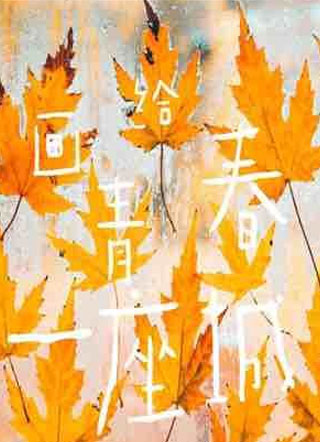 画给青春一座城小说