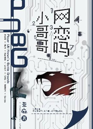 小哥哥网恋吗小说