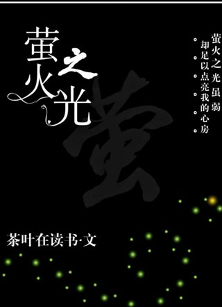 萤火之光小说