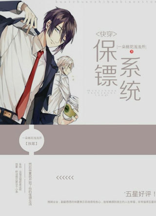 快穿之保镖系统小说