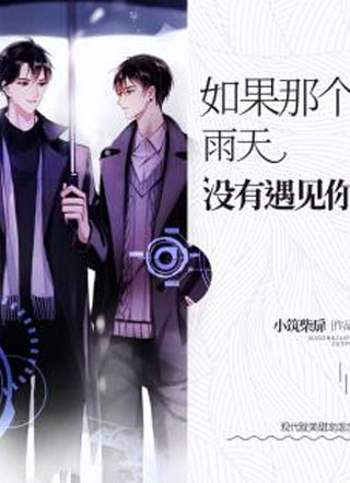 如果那个雨天没有遇见你小说