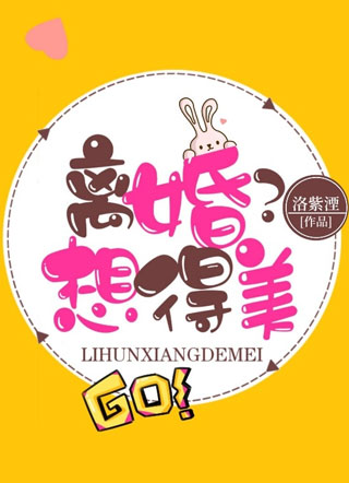 离婚？想得美！小说