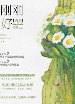 刚刚好西旻小说