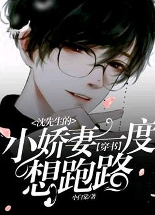 沈先生的小娇妻一度想跑路.小说