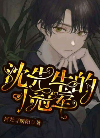 沈先生的小冠军小说