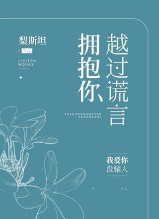 越过谎言拥抱你小说