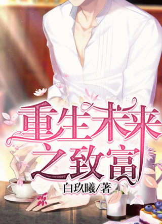 重生未来之致富小说